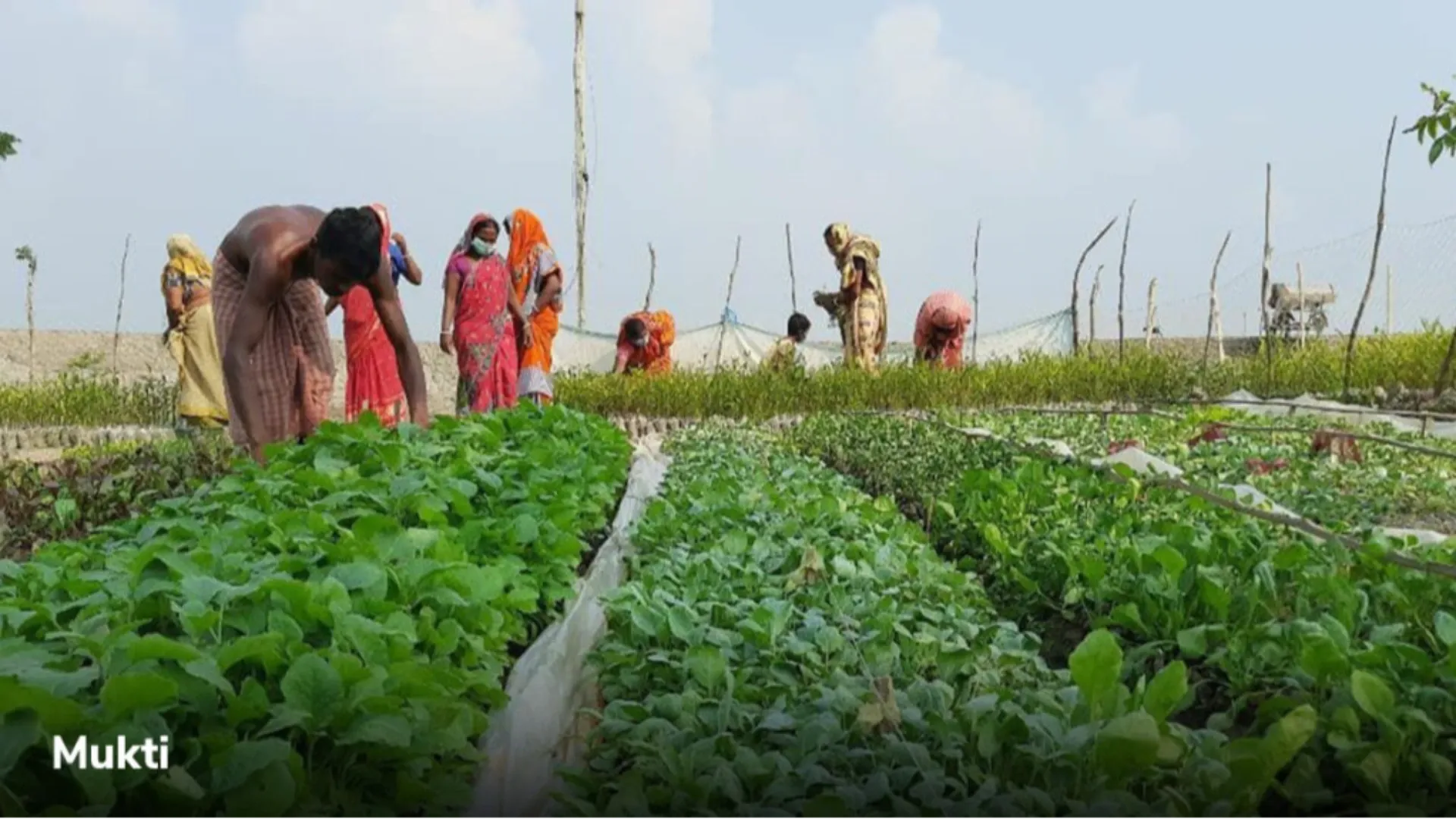 Enviroment protection